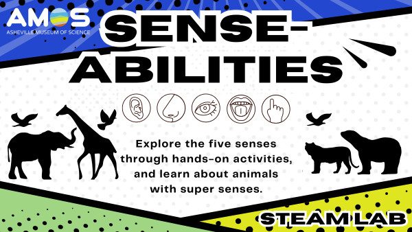 a graphic for the December 2025 STEA