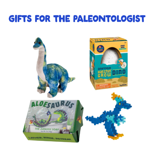 Collection of gifts from the store for paleontologists.
