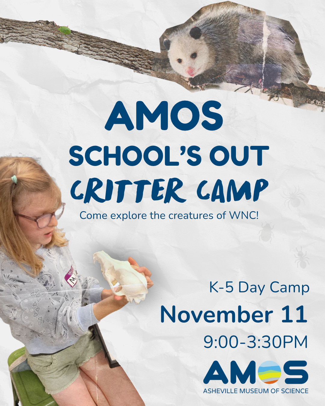 School's Out Camp: Critter Camp — Education in Asheville Museum of Science · Asheville, NC