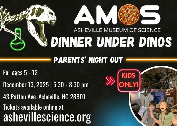 a graphic with a dinosaur and some kids that advertising the Dec. 13. 2025 Dinner Under Dinos event