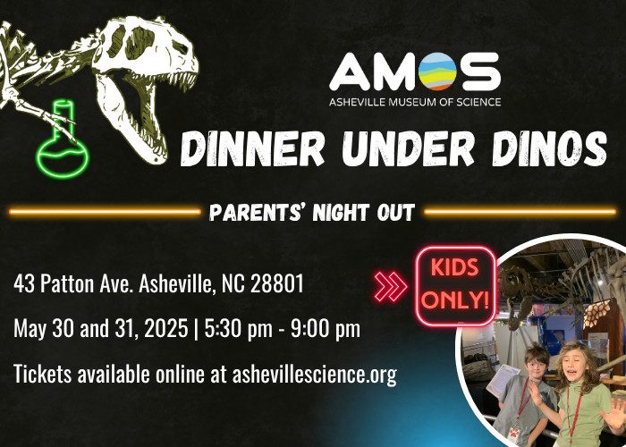 a black graphic with white text that says Dinner Under Dinos Parents Night Out and the dates and times