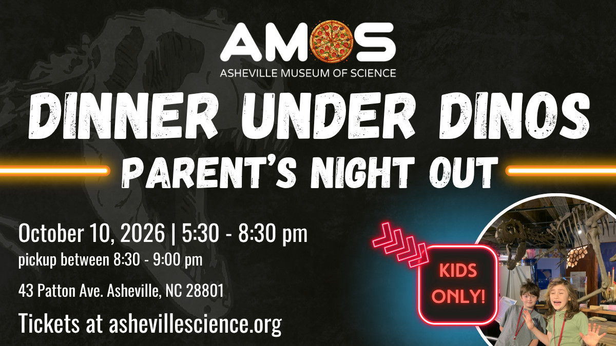 a graphic for Dinner Under Dinos event