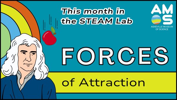a graphic with Newton and a falling apple to advertise our FEbruary 2026 STEAM Lab theme: Forces of Attraction