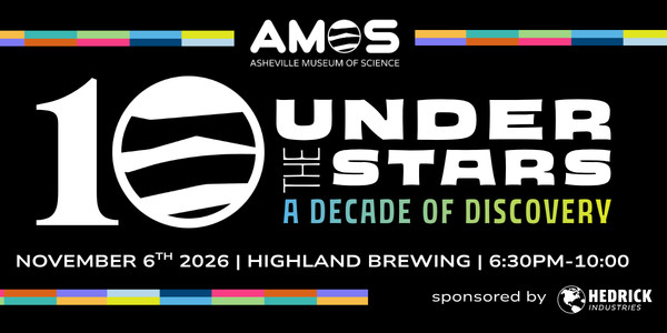 Under the Stars 2026 Fundraiser graphic